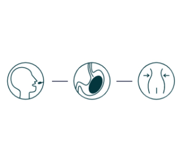 Infographic Landing Page